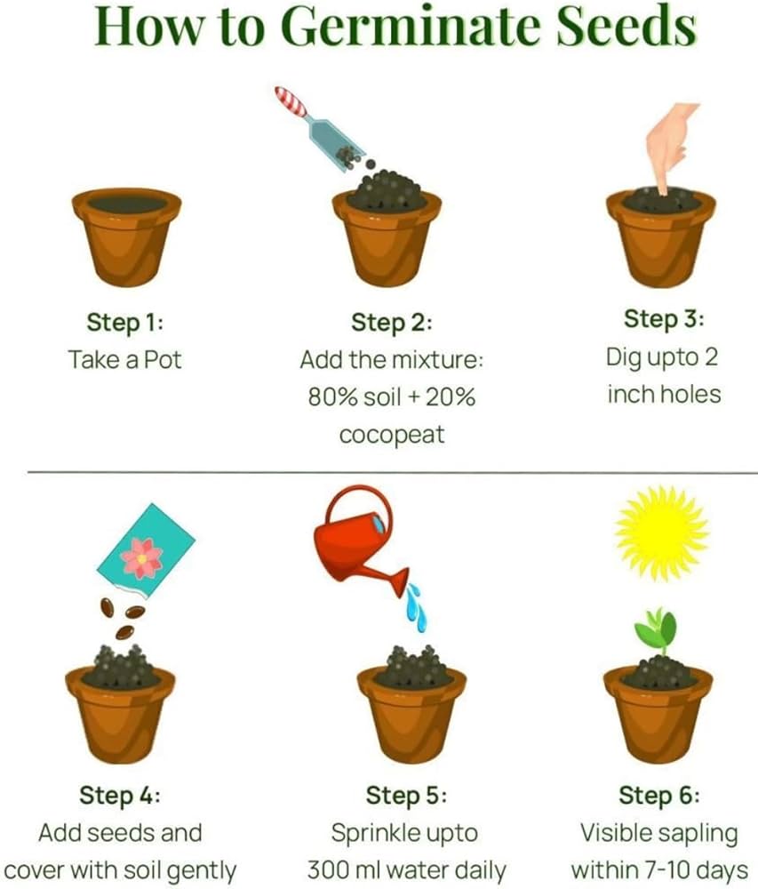 IMPORTED Shade-Tolerant & Cold-Hardy Hosta 150 Seeds – Luxury Multi-Color Leaves for Home Garden