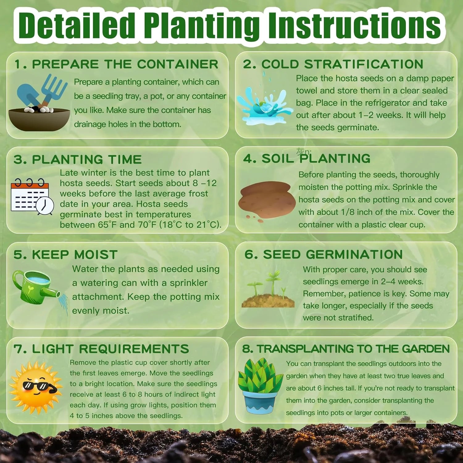 IMPORTED Shade-Tolerant & Cold-Hardy Hosta 150 Seeds – Luxury Multi-Color Leaves for Home Garden